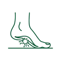 <strong>Plantaarifaskiitti </strong>