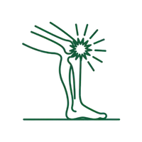 <strong>Polvikipu </strong>